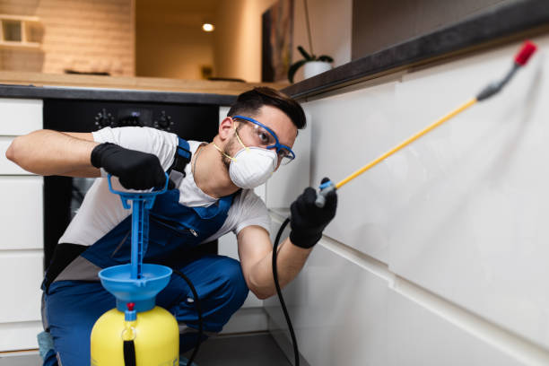 Best Pest Control Treatment  in Kouts, IN