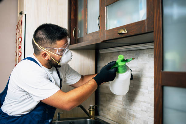 Best Exterminator Services  in Kouts, IN