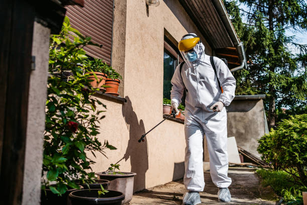Reliable Kouts, IN Pest Control Solutions