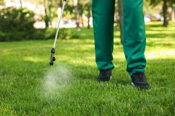 Best Termite Control Services  in Kouts, IN