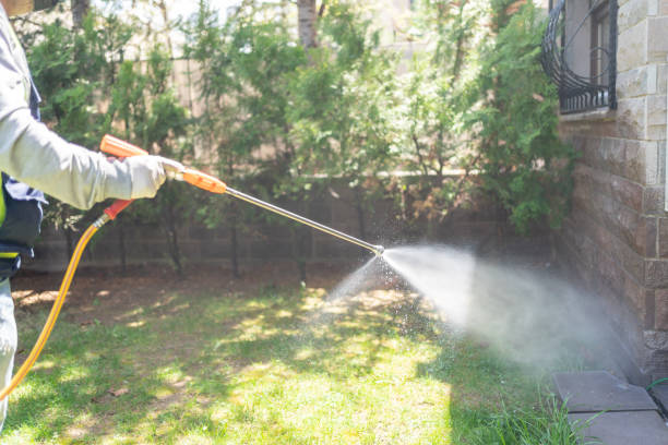 Best Pest Removal Services  in Kouts, IN