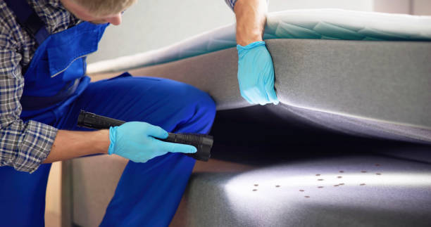 Best Best Pest Control Companies  in Kouts, IN